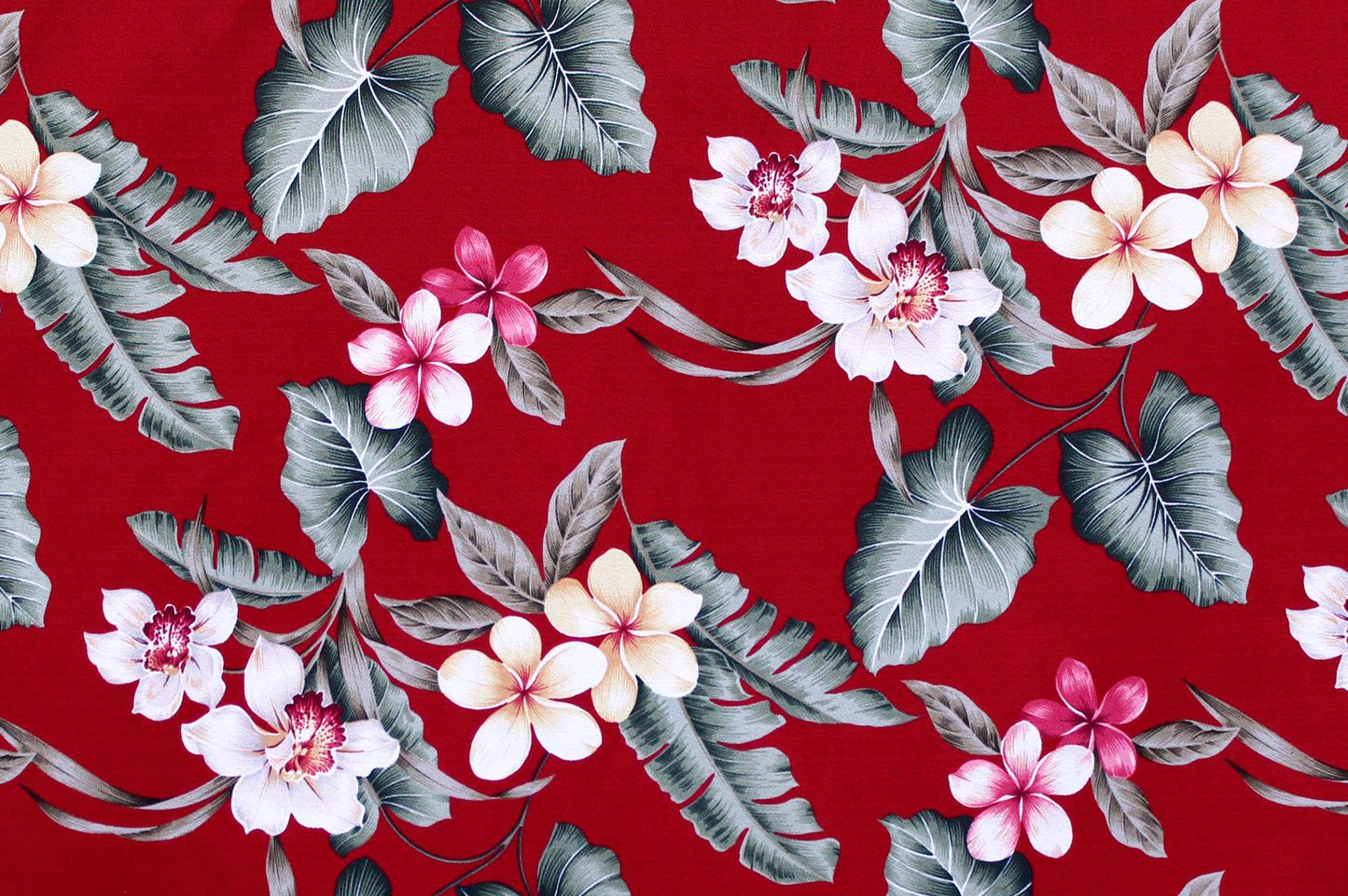 DF1671 Burgundy