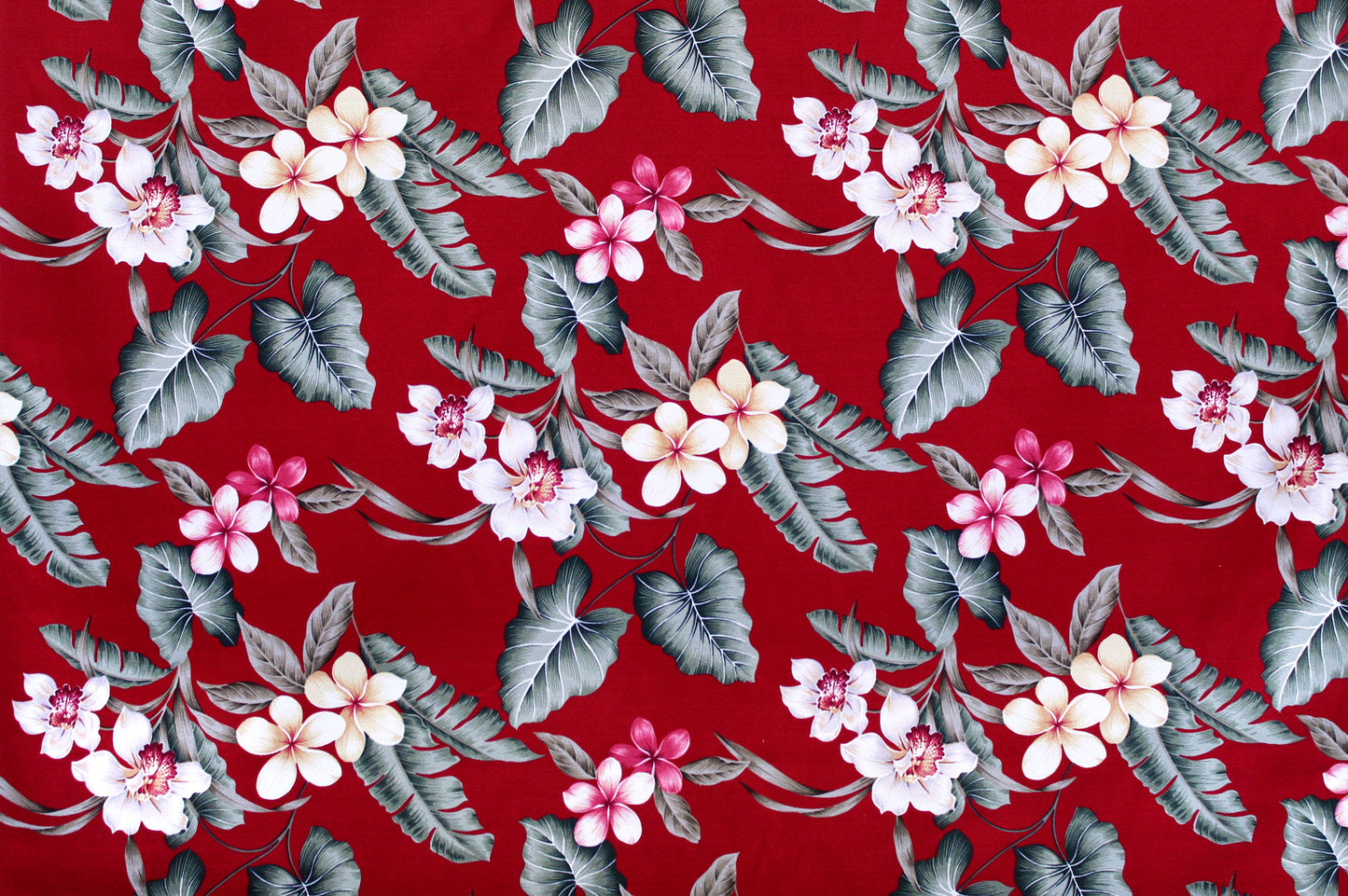 DF1671 Burgundy