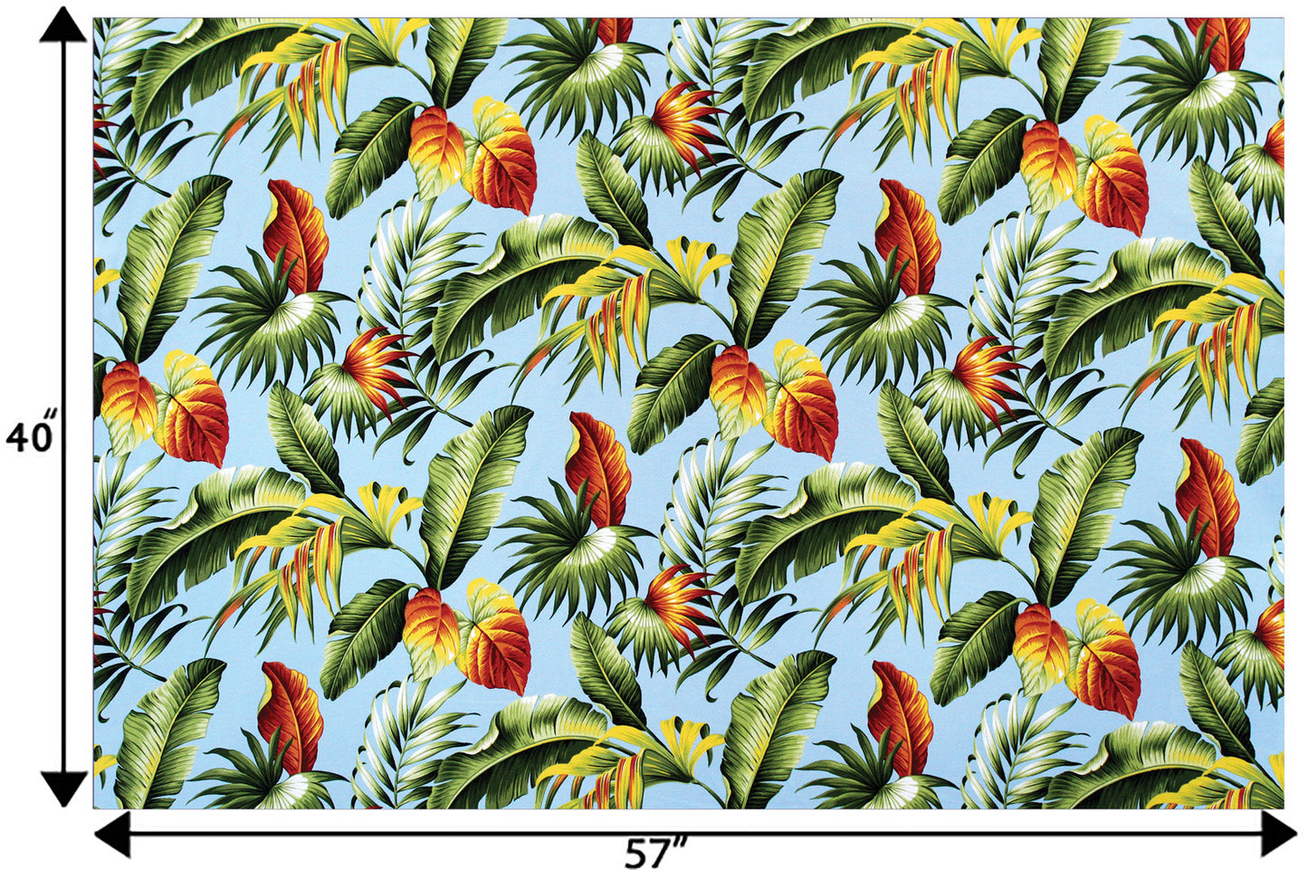 DF1674 Aqua