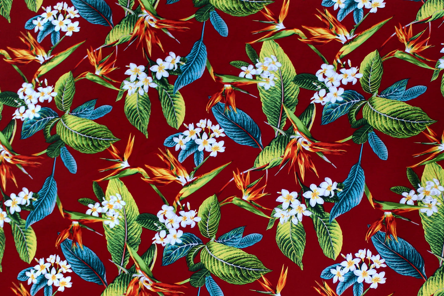 DF1679 Burgundy