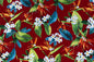 DF1679 Burgundy
