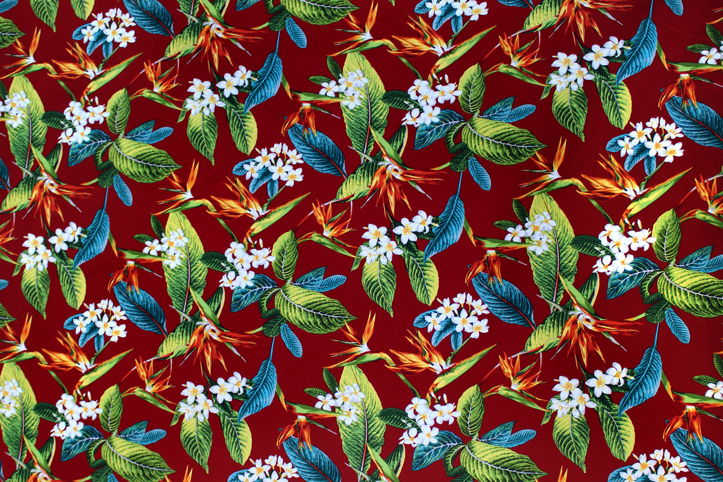 DF1679 Burgundy