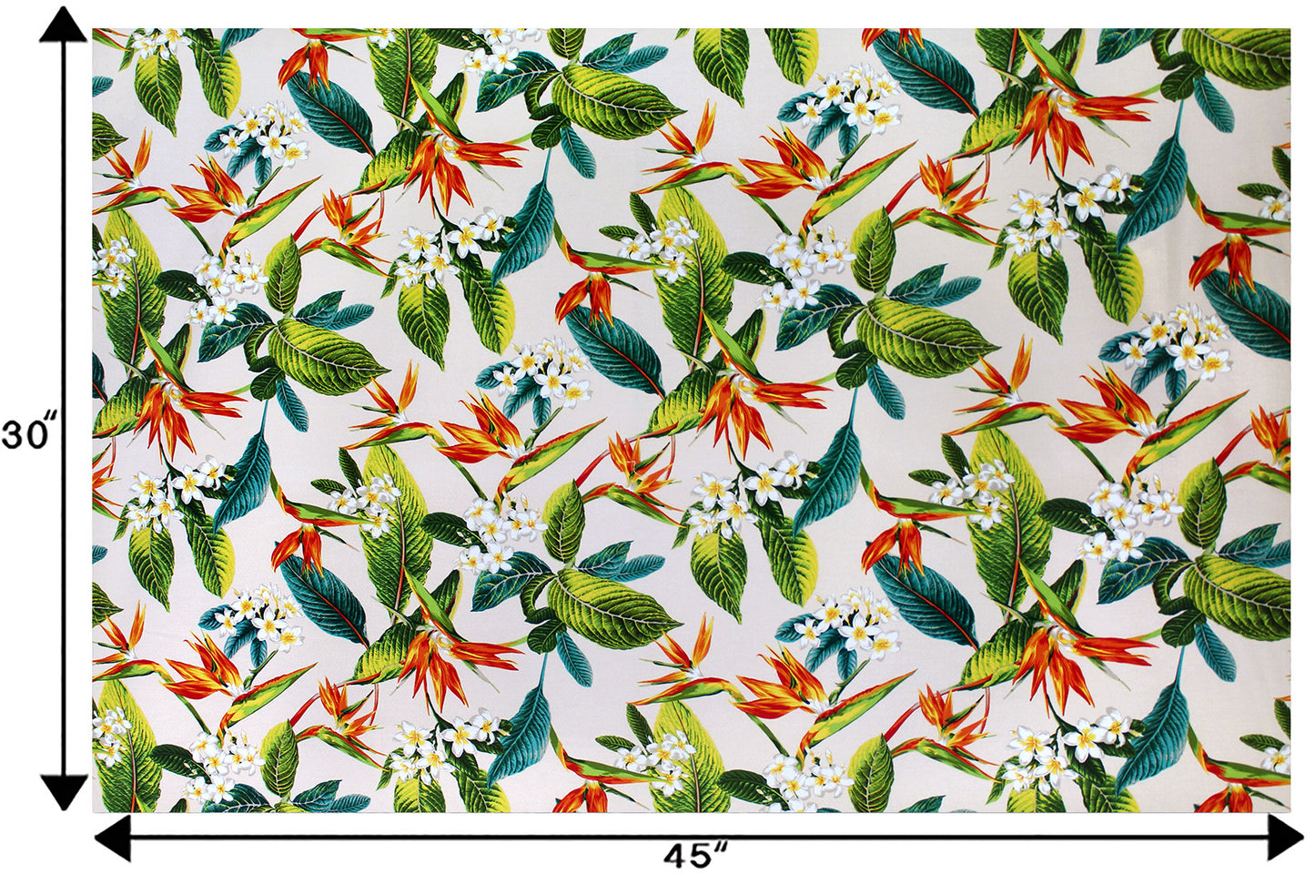 DF1679 White