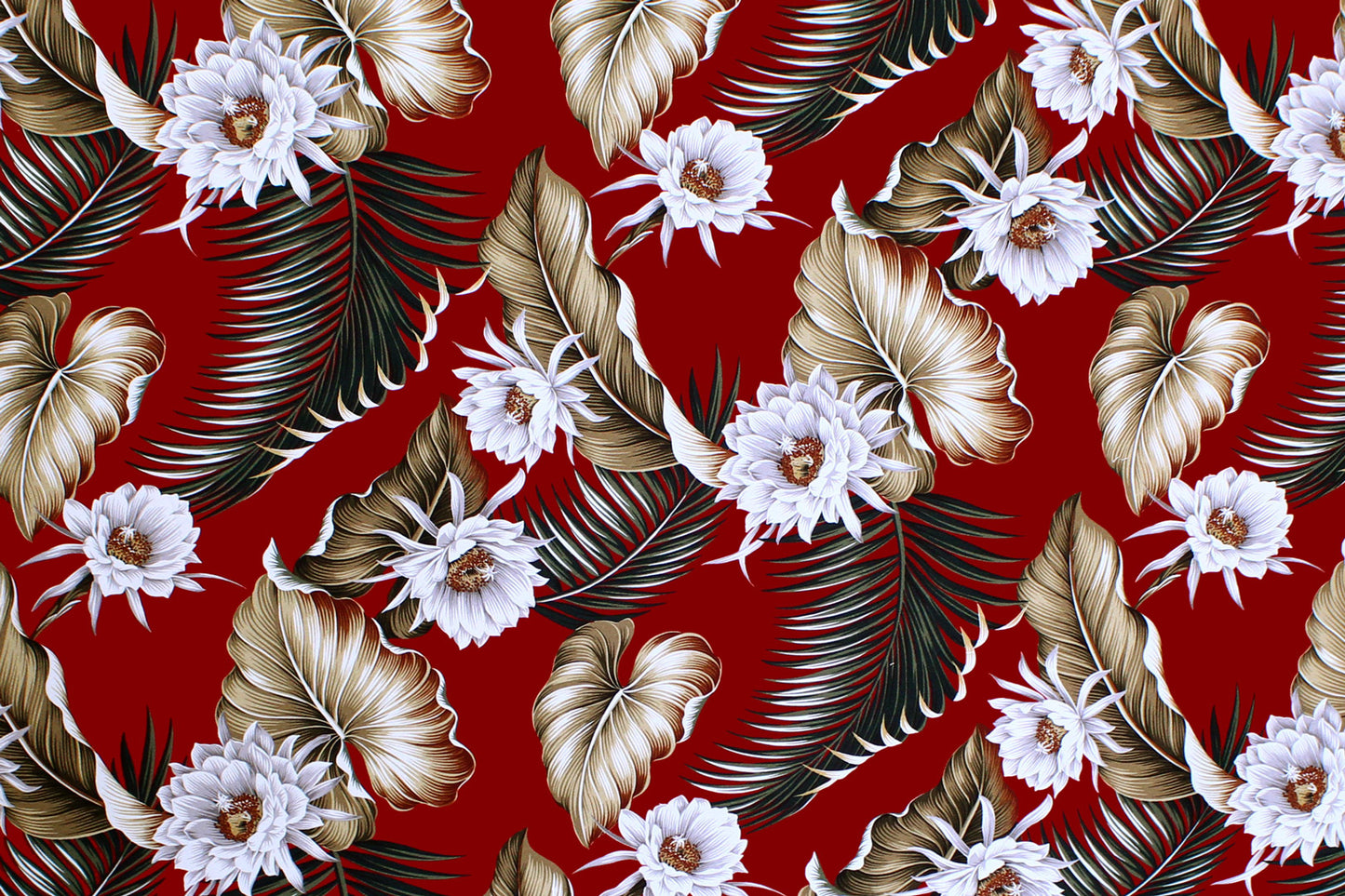 DF1684 Red