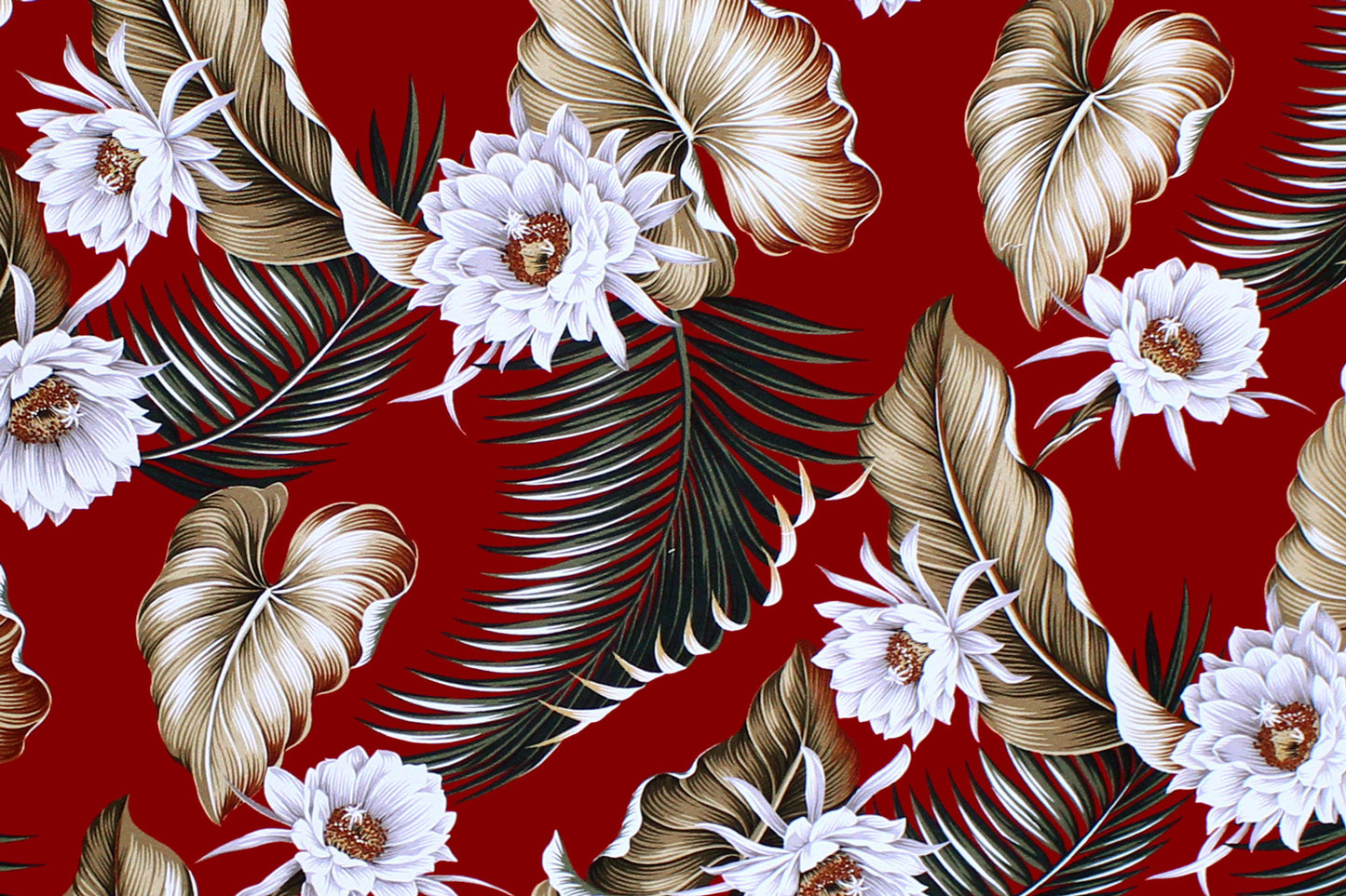 DF1684 Red