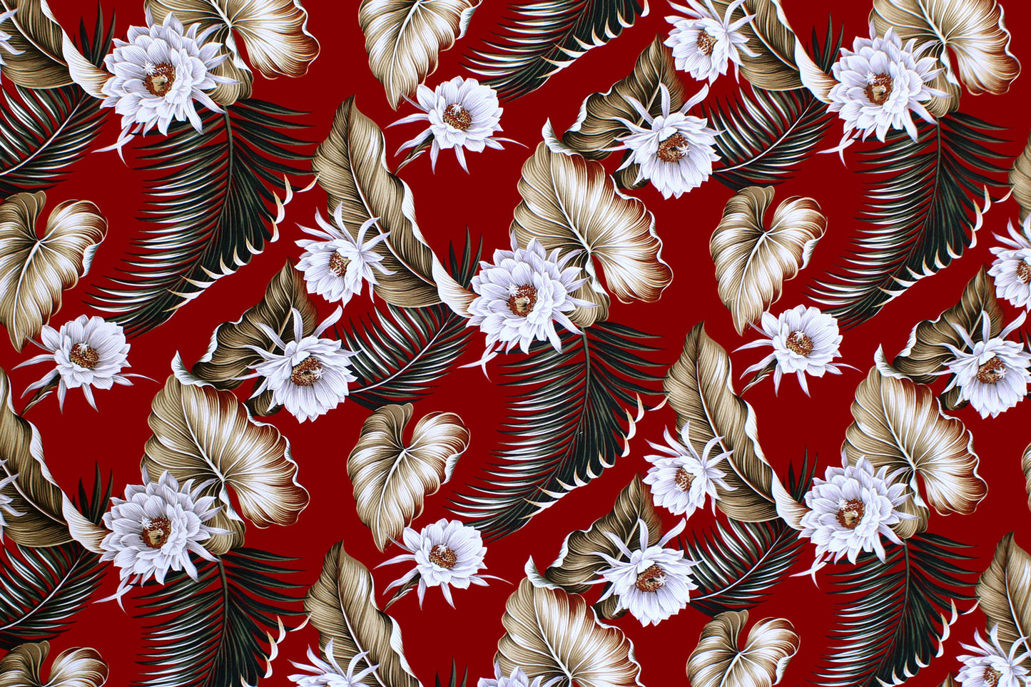 DF1684 Red