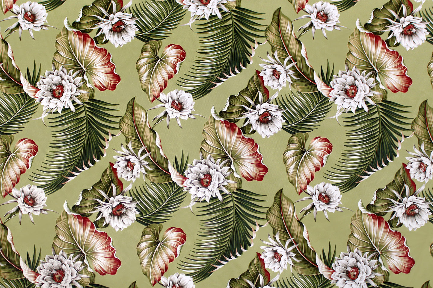 DF1684 Sage