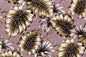 DF1685 Raisin