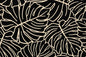 DF1688 Black