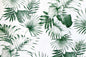 DF1694 Green
