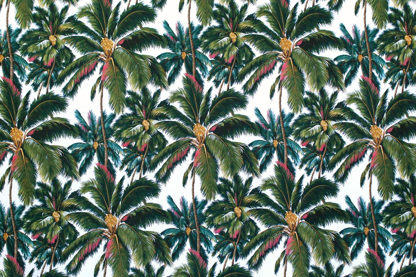DF1698 Natural