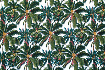 DF1698 Natural