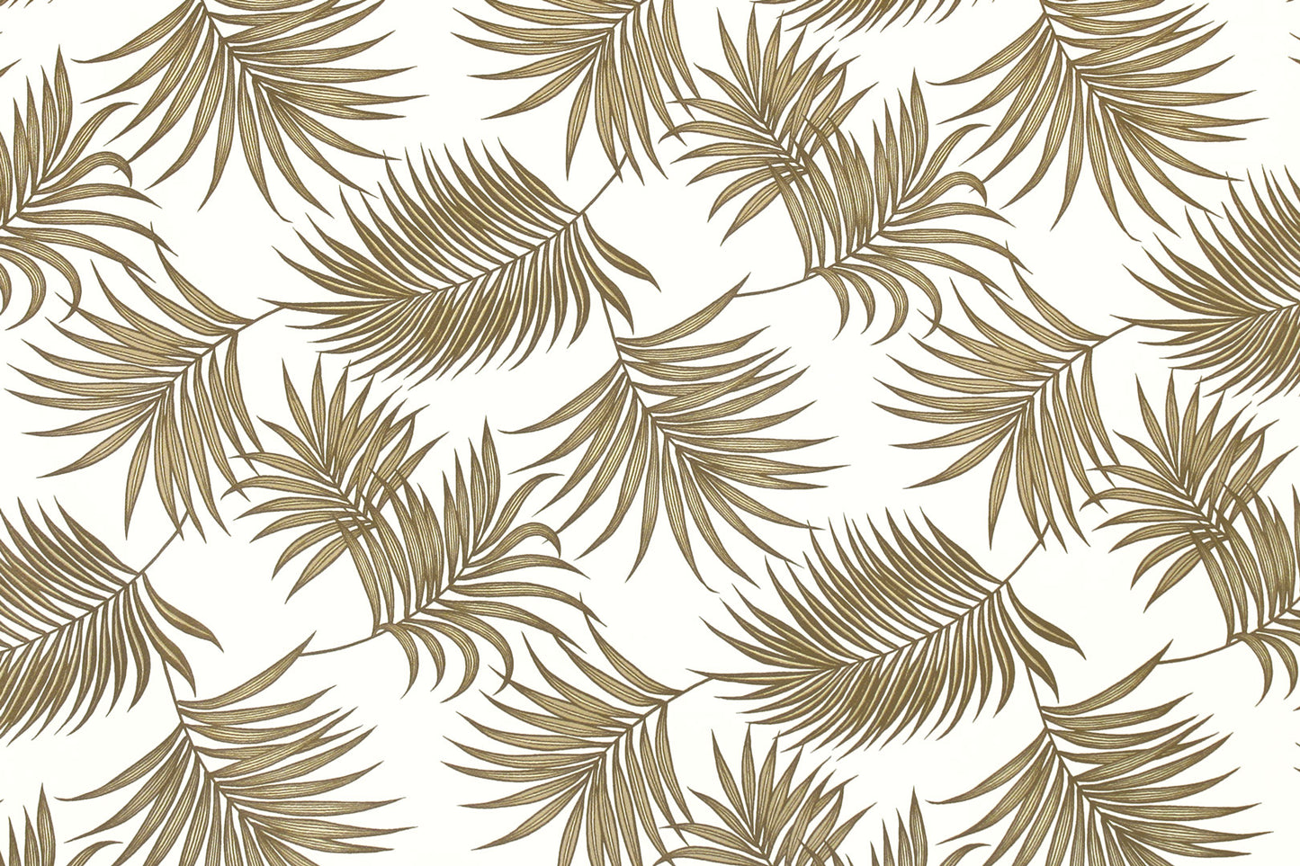 DF1701 Cream