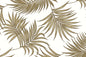 DF1701 Cream