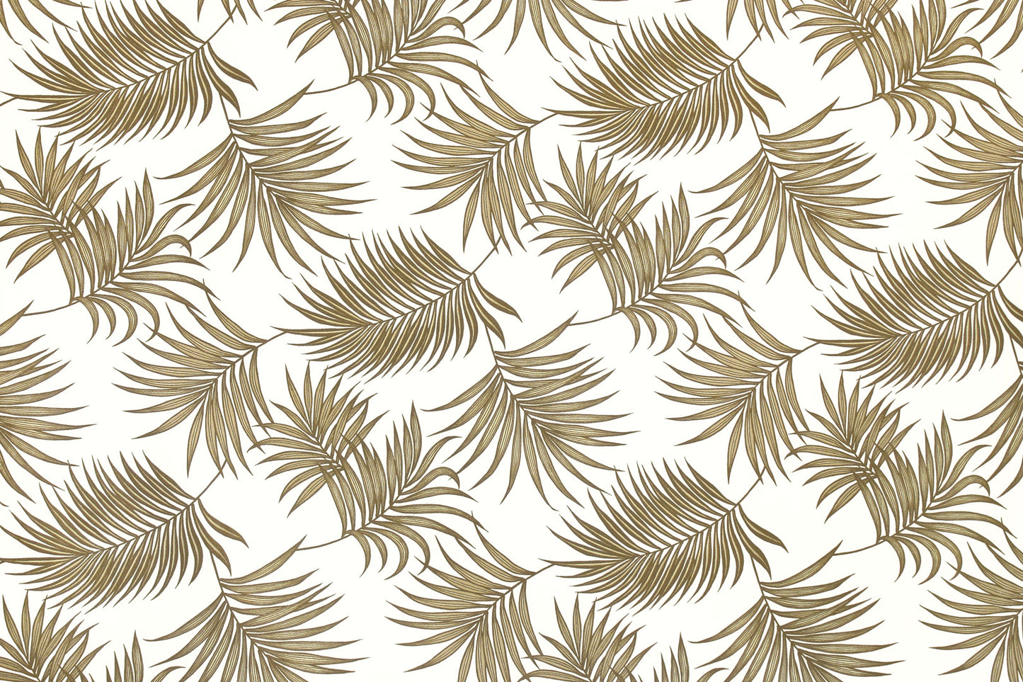 DF1701 Cream