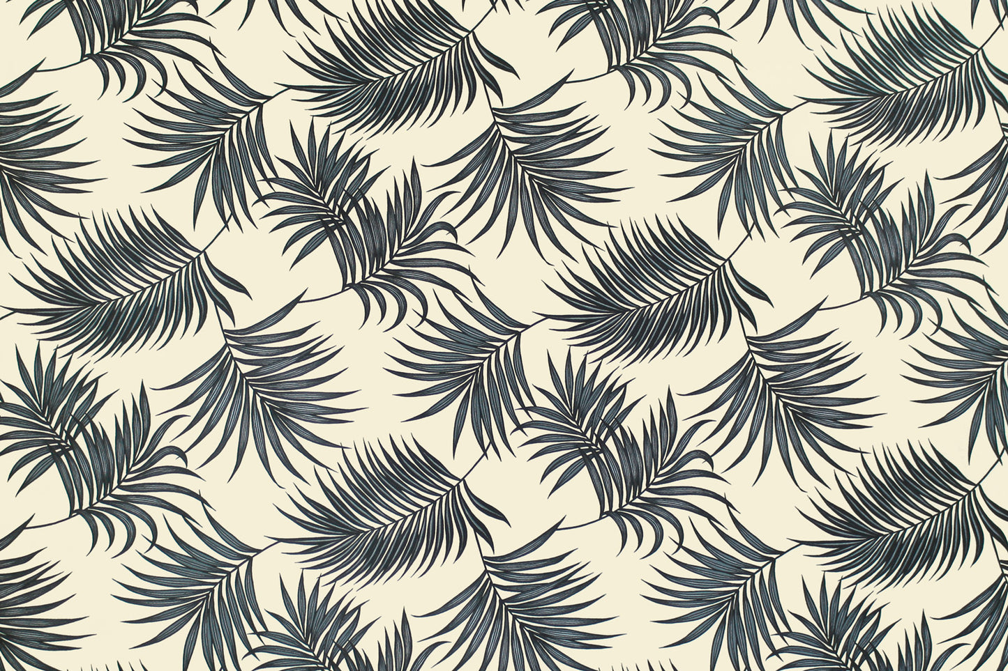 DF1701 Navy
