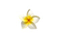 Foam Plumeria Stem Flower - White