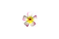 Foam Plumeria Stem Flower - Pink/Yellow