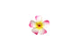 Foam Plumeria Stem Flower - Pink/Yellow/Red