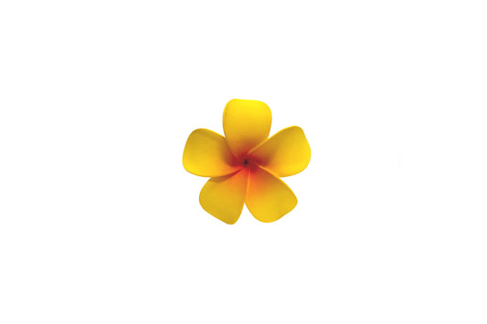 Foam Plumeria Stem Flower - Yellow/Red