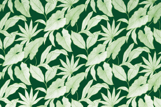 HR0003 Forest