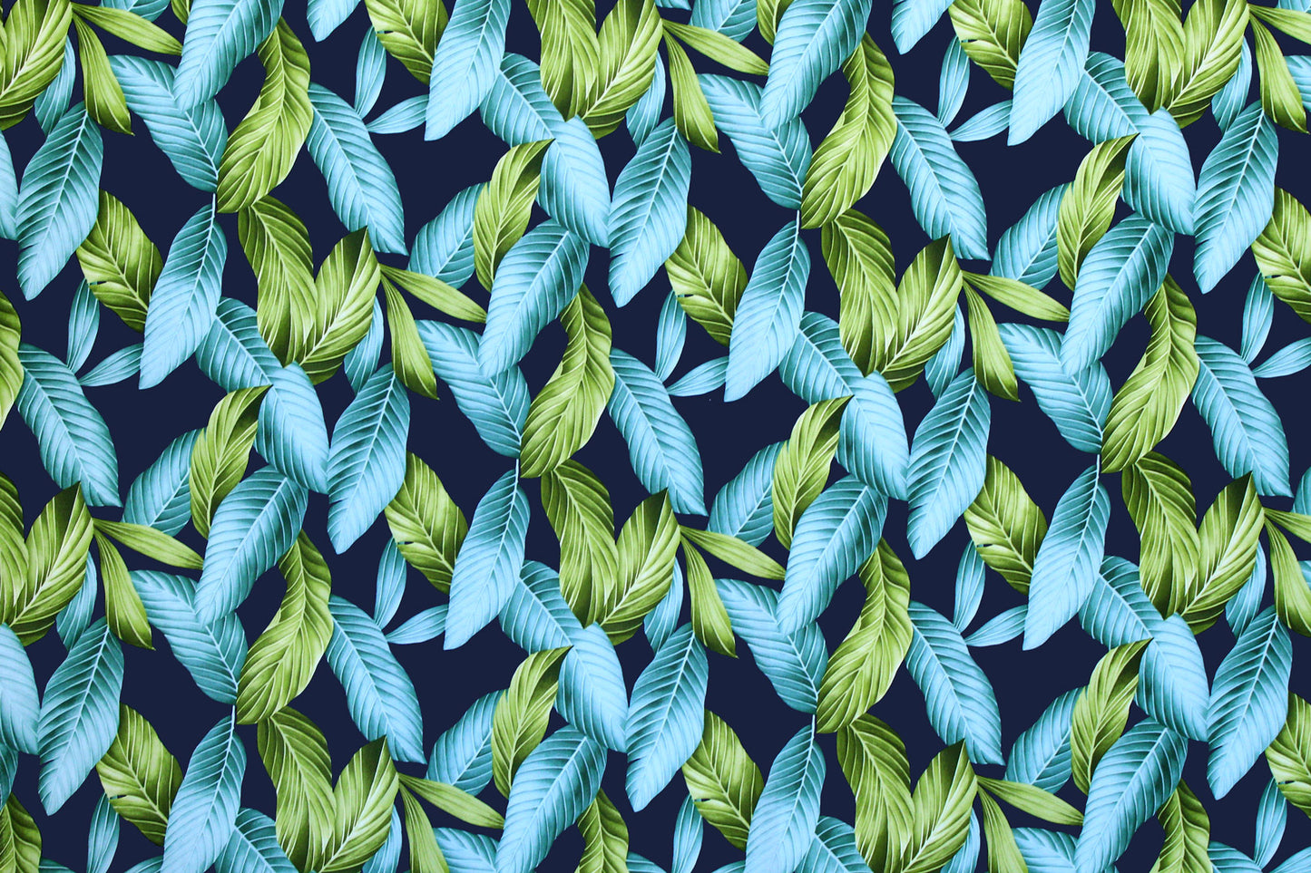 HR1545 Navy