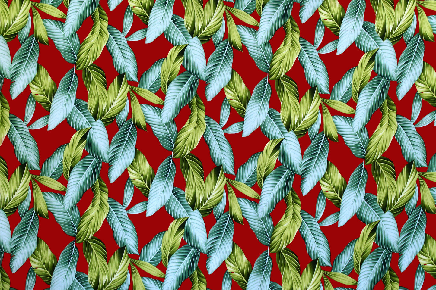 HR1545 Red