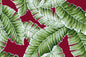 HR1585 Burgundy
