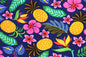 HR1593 Navy