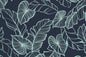 HR1595 Navy