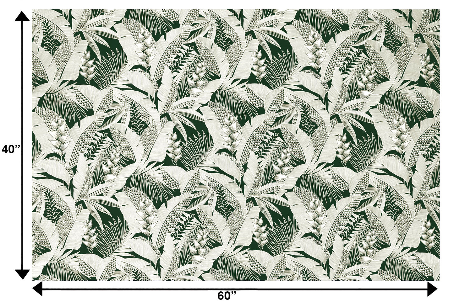 HR1597 Forest