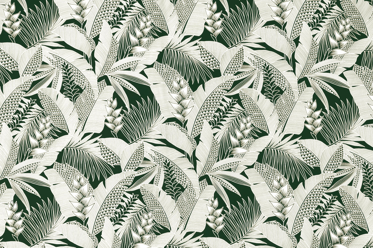 HR1597 Forest