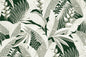 HR1597 Forest