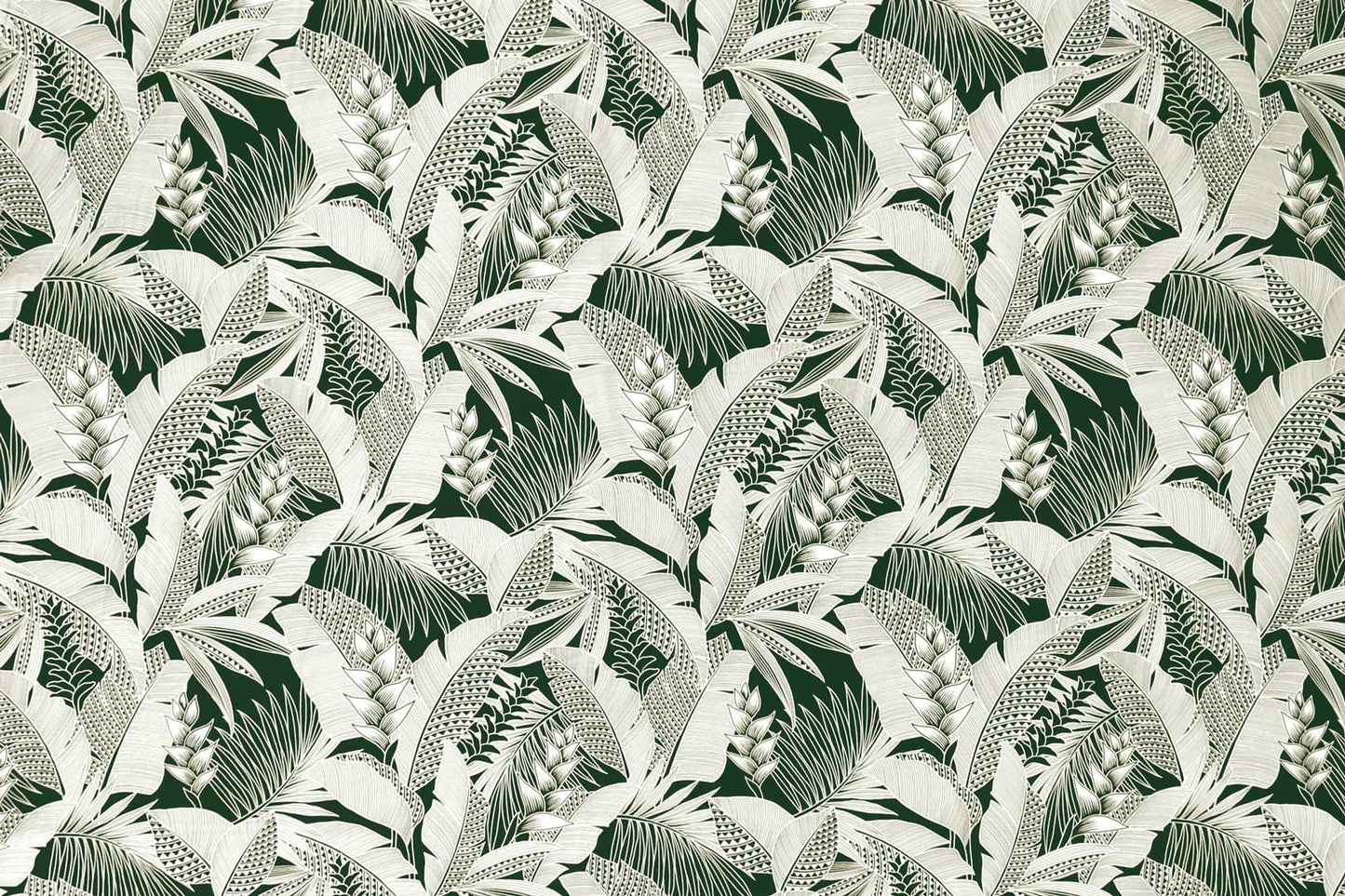 HR1597 Forest