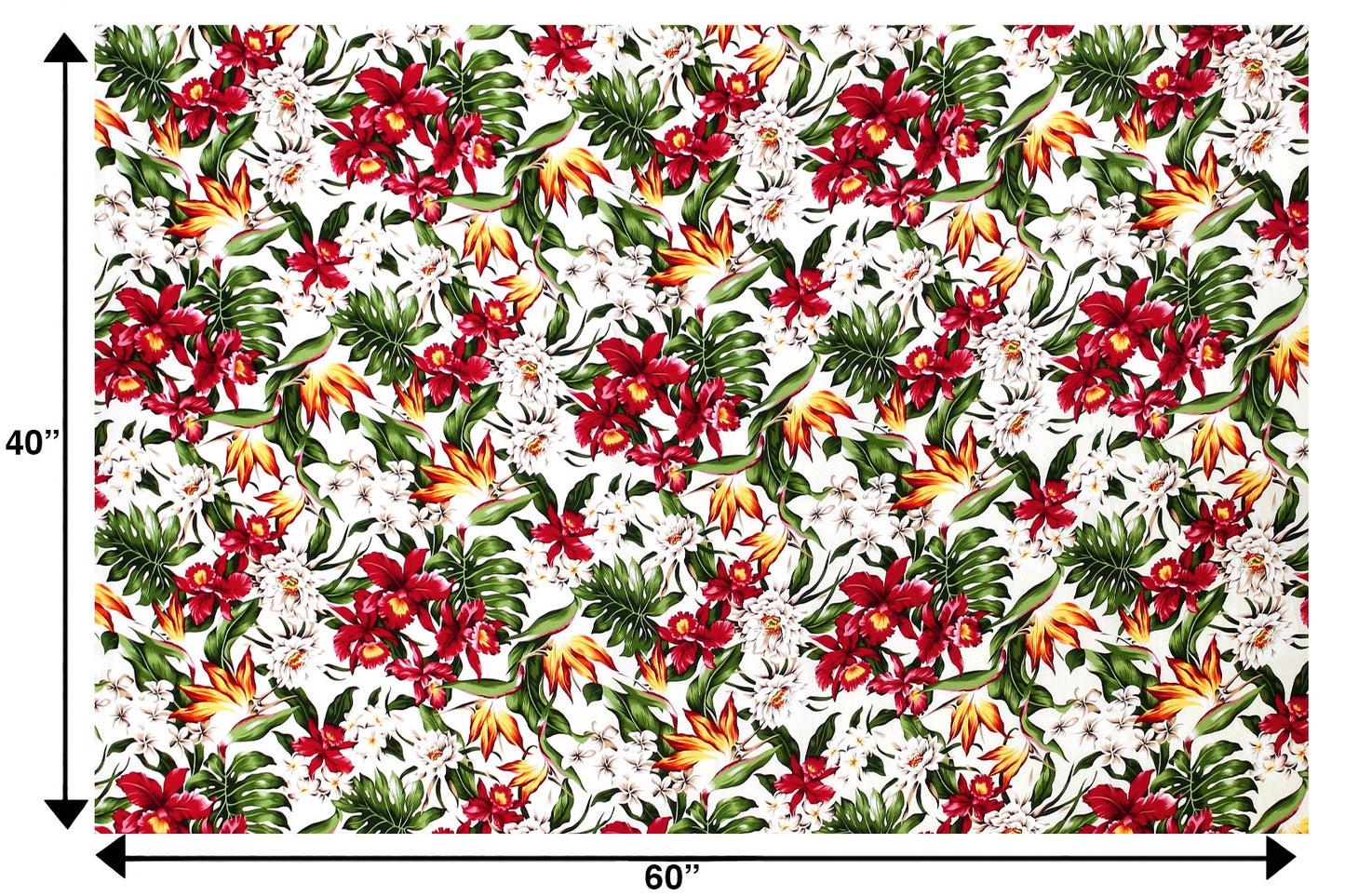 HR1598 Cream