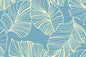 HR1601 Turquoise