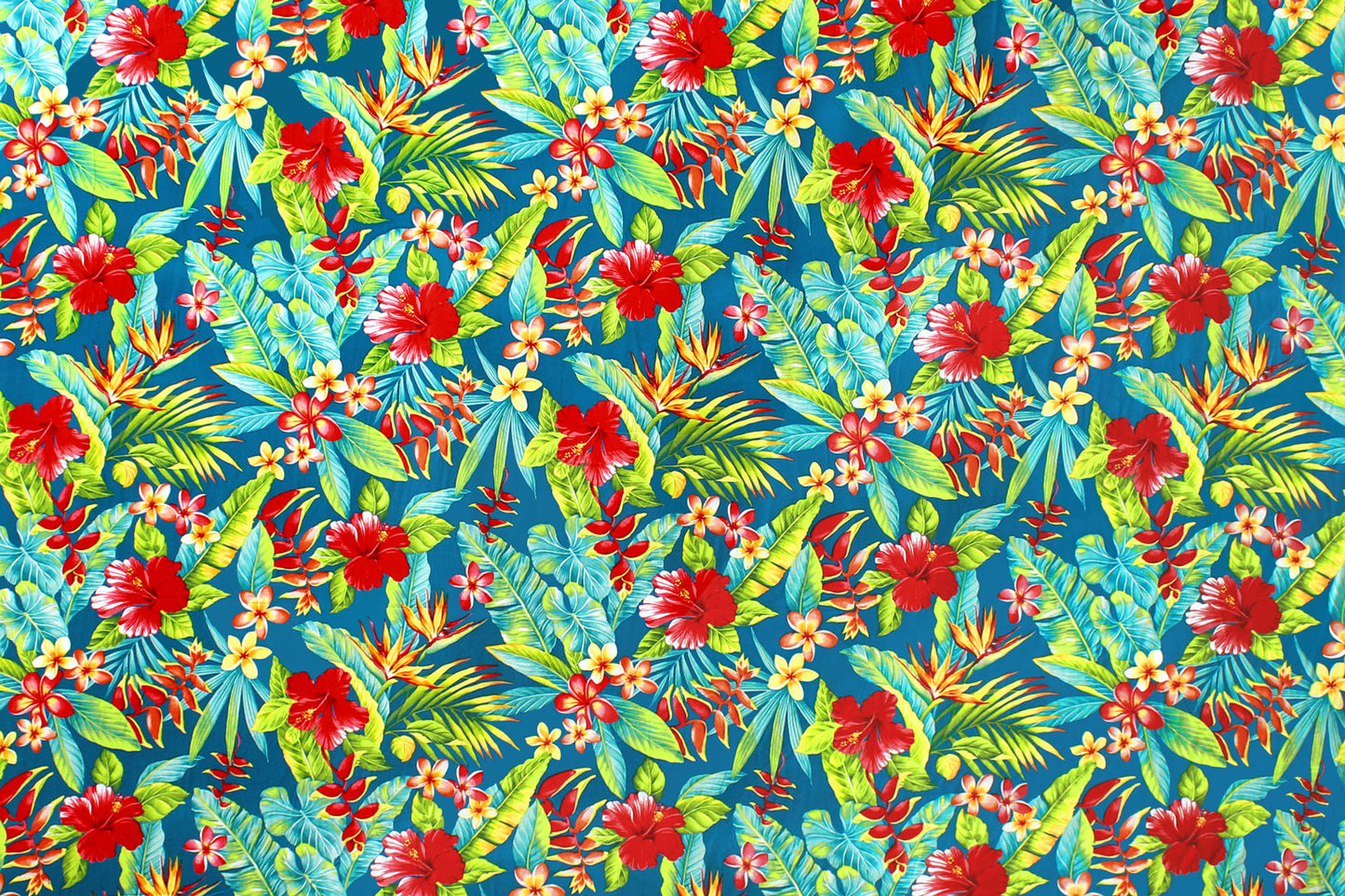 HR1603 Teal