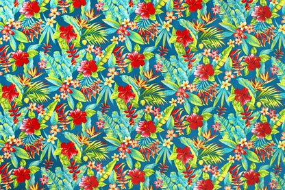 HR1603 Teal