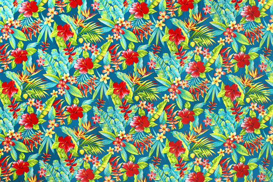 HR1603 Teal