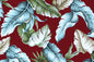 HRC0039 Burgundy