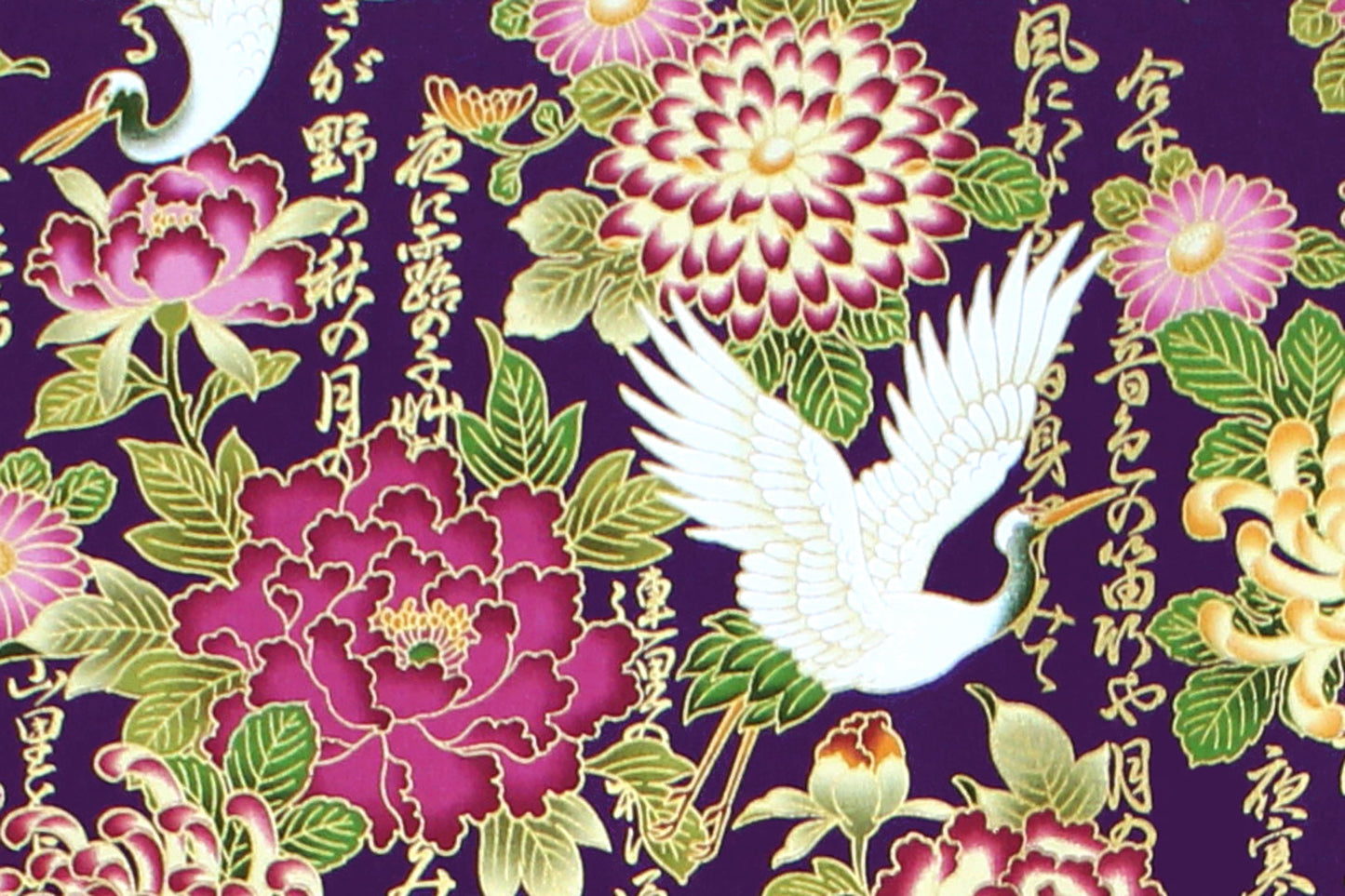 JP2053 Purple