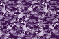 JP2567 Purple