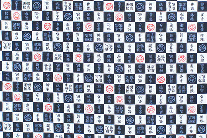 JP2617 Navy