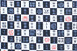 JP2617 Navy