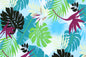 KNI0017 Turquoise