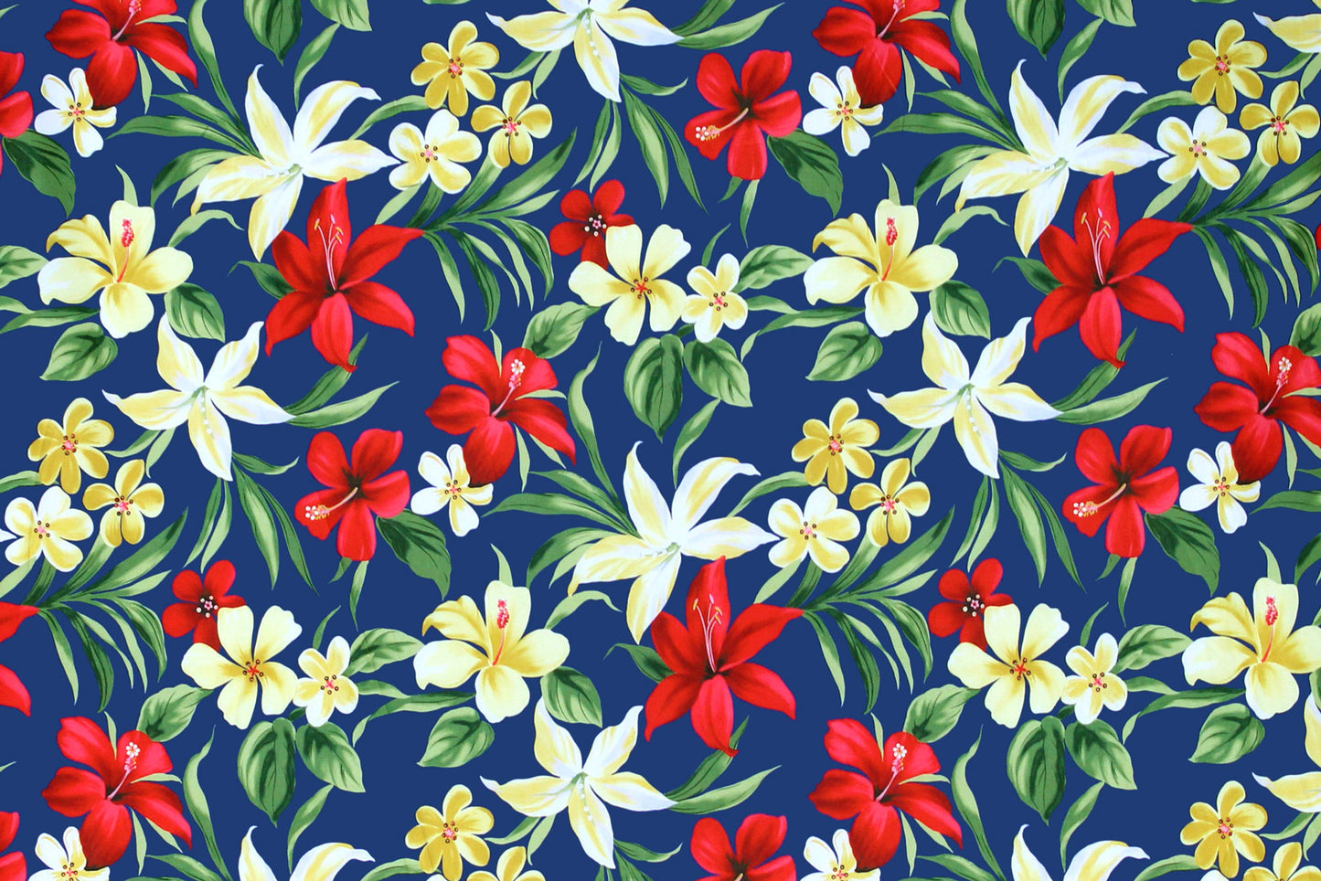 KNI0022 Royal