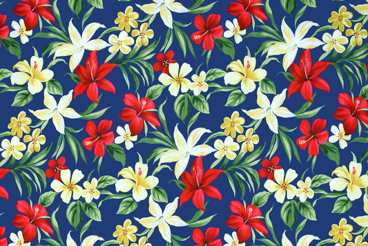 KNI0022 Royal