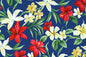 KNI0022 Royal