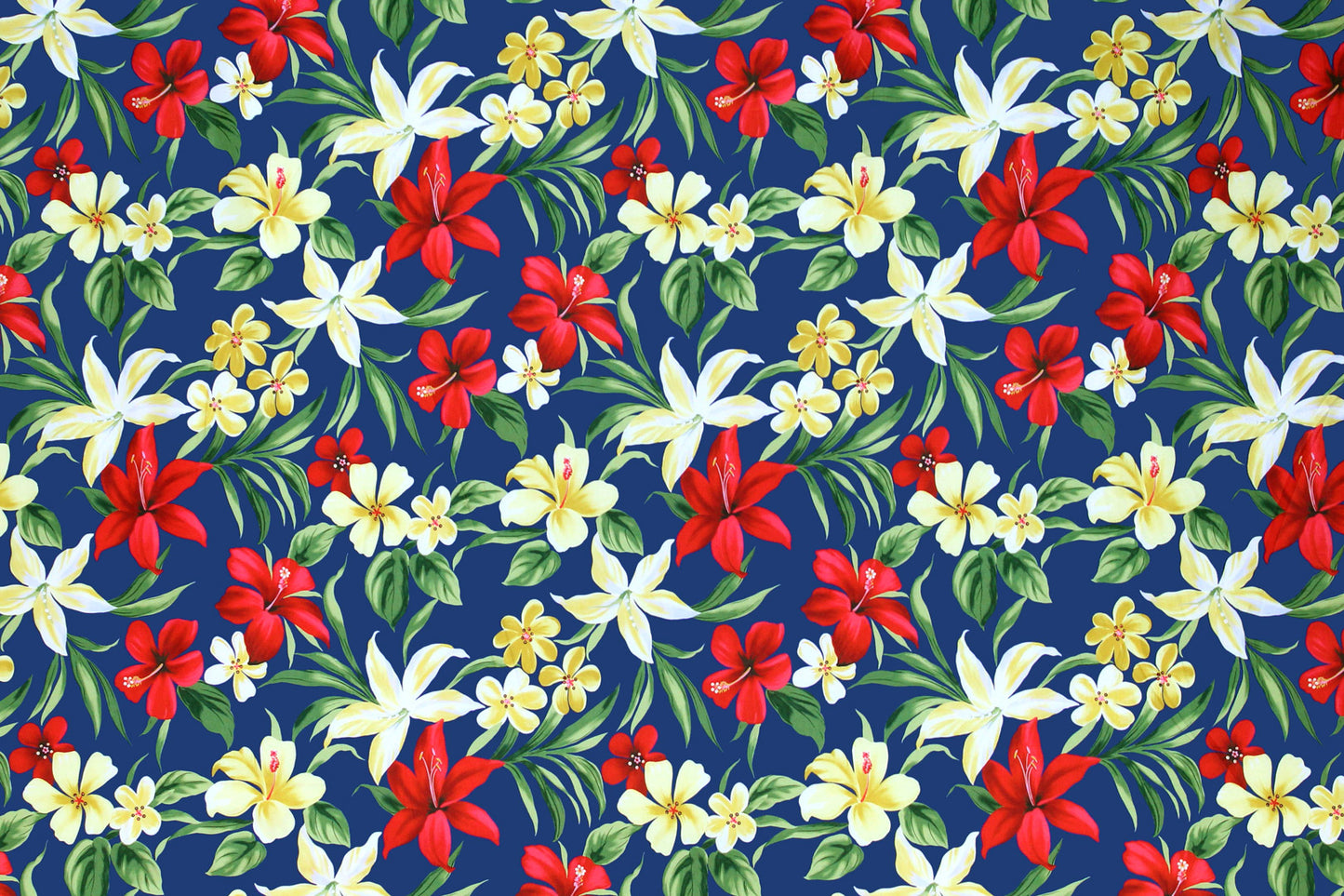 KNI0022 Royal