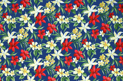 KNI0022 Royal